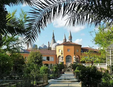 Orto Botanico 1545