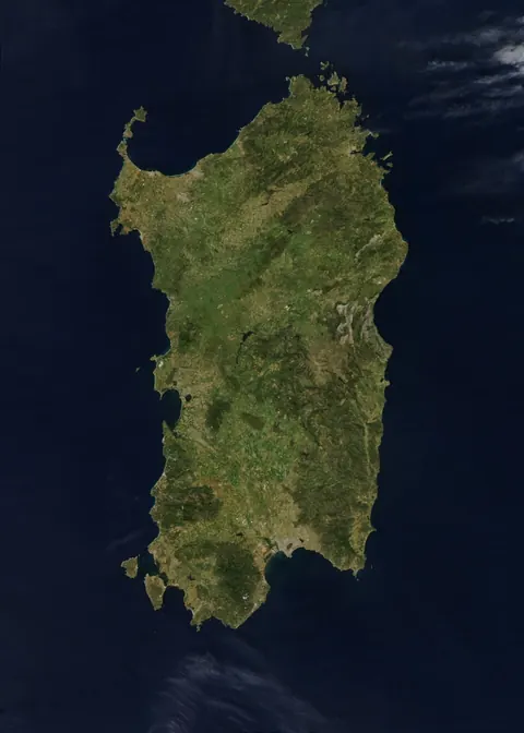 Sardinya